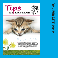 ©Gratis Tips 2 ©Gratis Tips 2