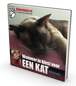Wanneer Je Kiest Voor Een Kat